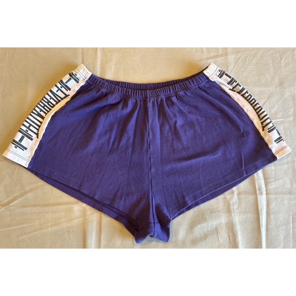 Vintage 80's/90's  Body By Gitano Purple Athleisure High Waist Shorts Gymwear L